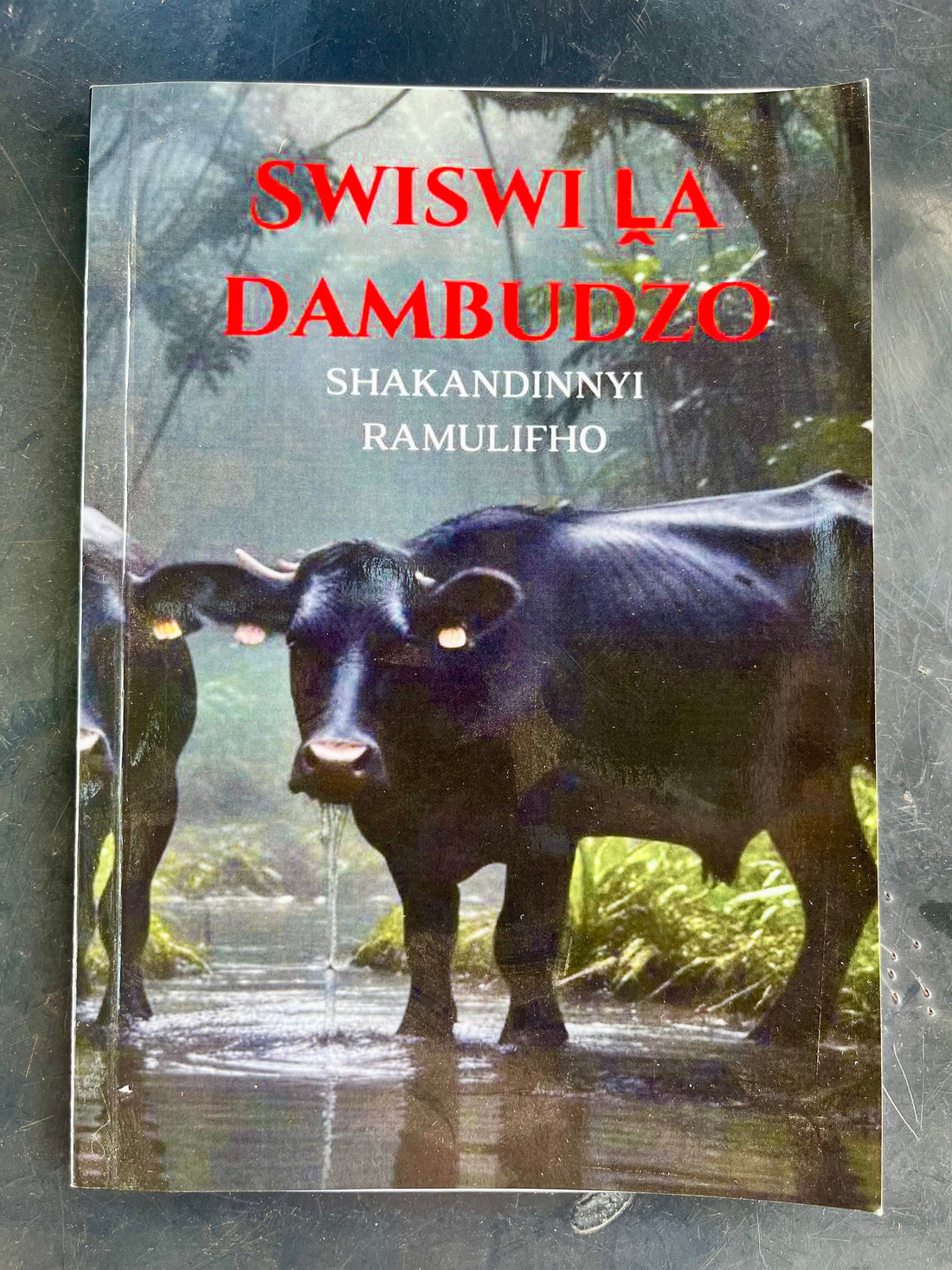 Swiswi ḽa Mbilu Dambudzo