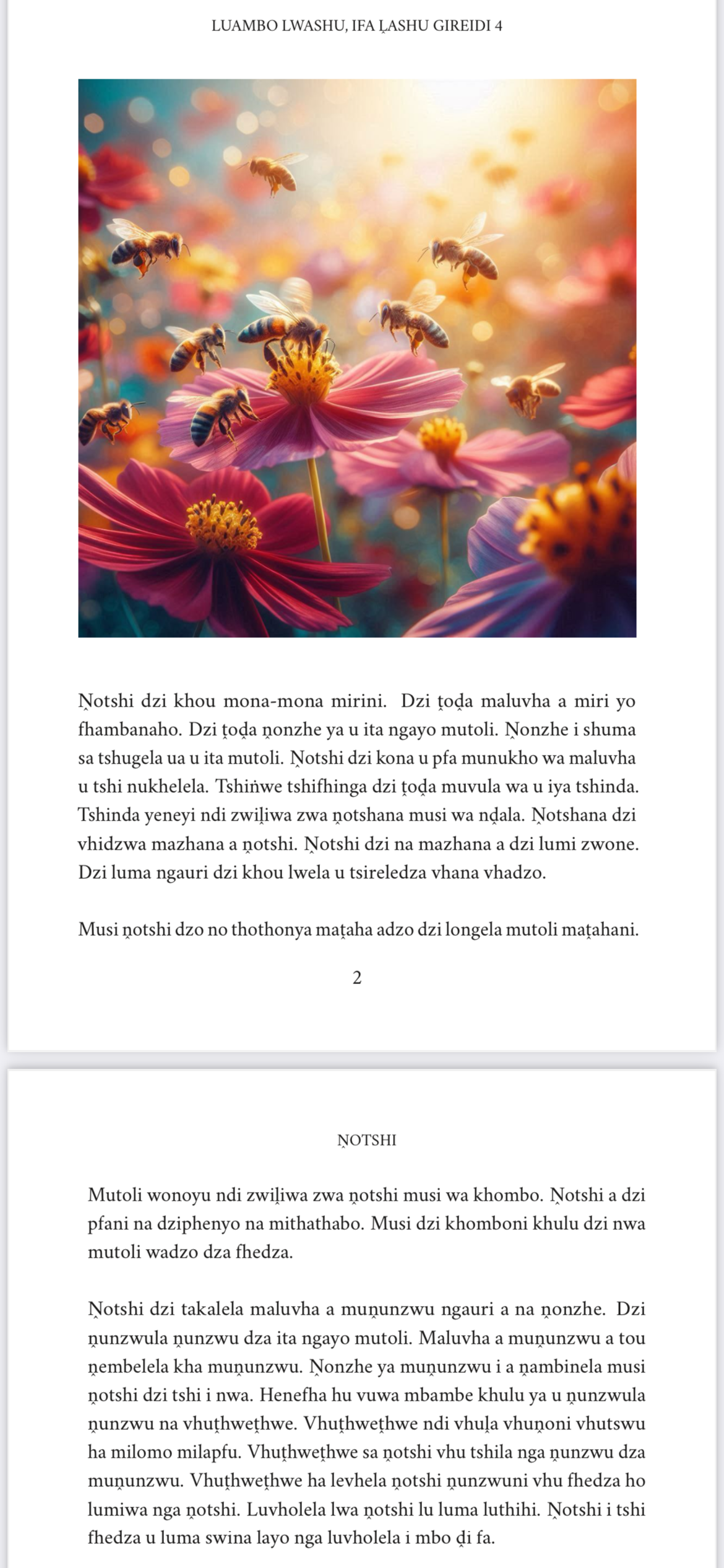 Luambo Lwashu, Ifa Ḽashu Gireidi 4